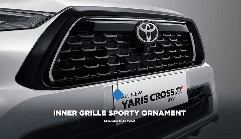 Inner Grille Sporty Ornament