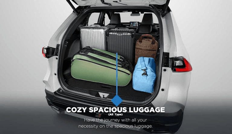 Cozy Spacious Luggage